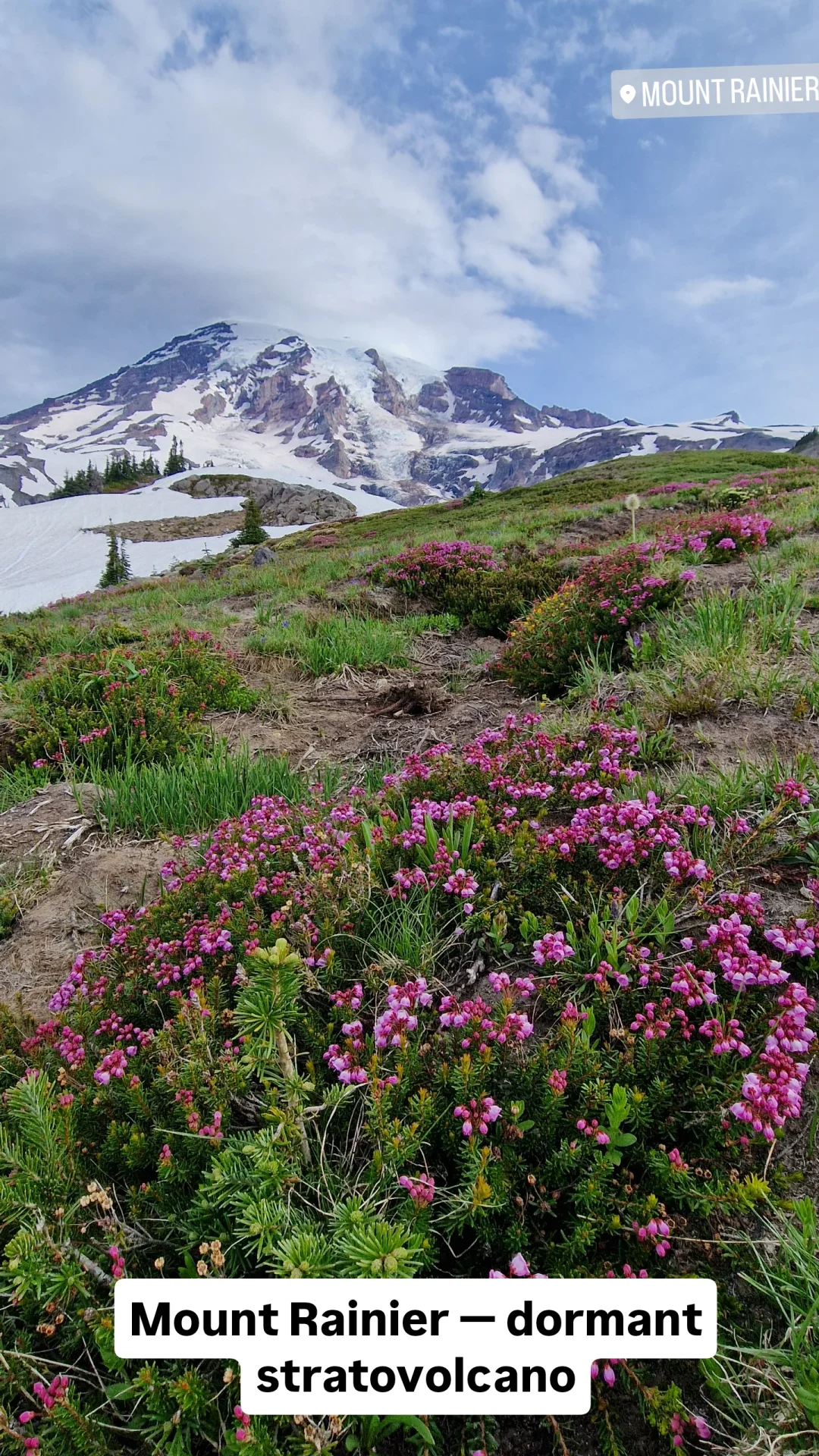 Mount Rainier, from the 2025 travel archive